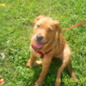 Meet your Posher, Jackie